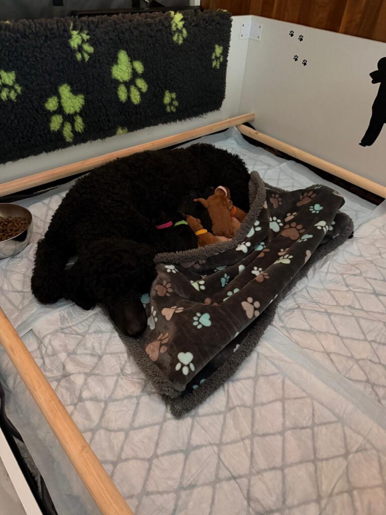 WhatsApp Image 2026-03-16 at 20.17.57 (1)