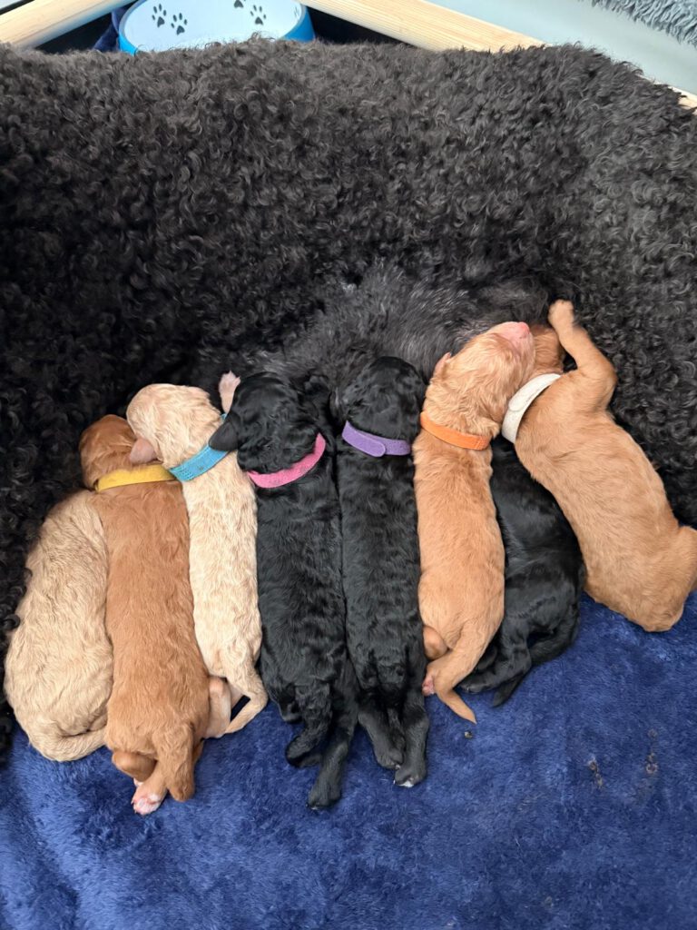 WhatsApp Image 2026-03-16 at 20.17.57 (2)