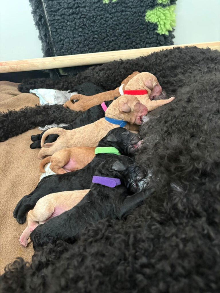 WhatsApp Image 2026-03-16 at 20.17.57