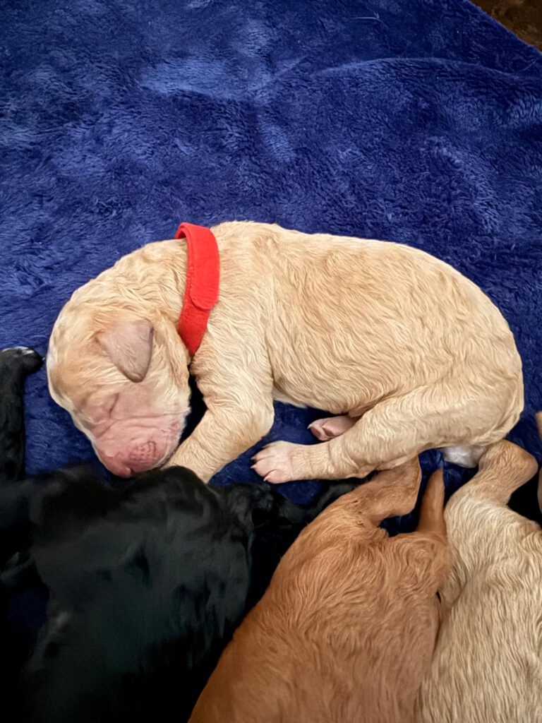 WhatsApp Image 2026-03-16 at 20.17.58 (2)