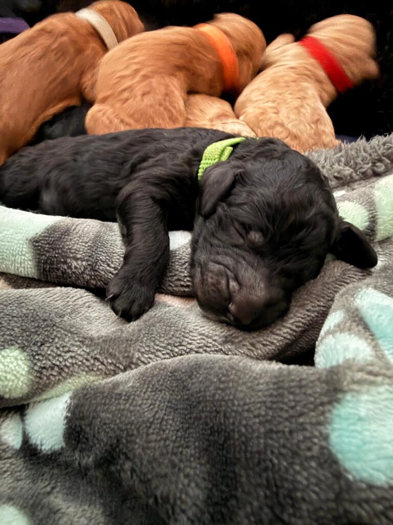 WhatsApp Image 2026-03-16 at 20.17.58 (3)