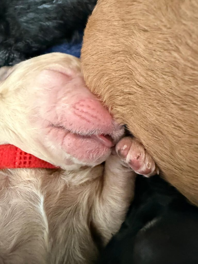 WhatsApp Image 2026-03-16 at 20.17.58