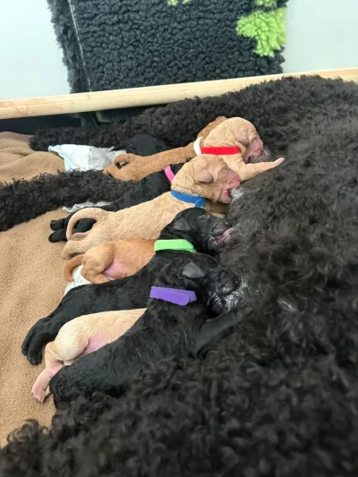 WhatsApp Image 2026-03-16 at 20.17.57